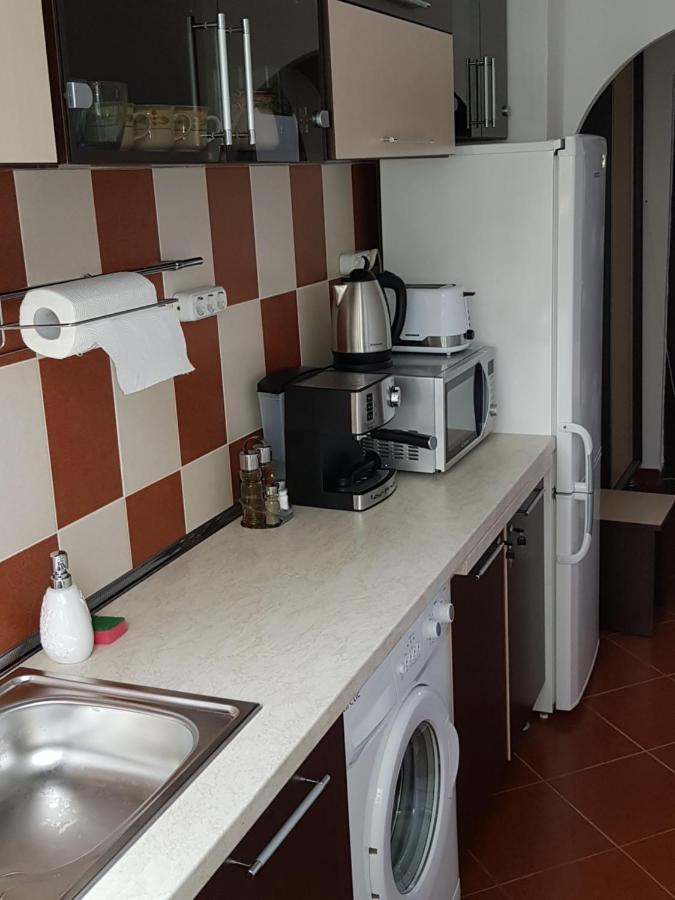 Stern Apartment Szováta Kültér fotó